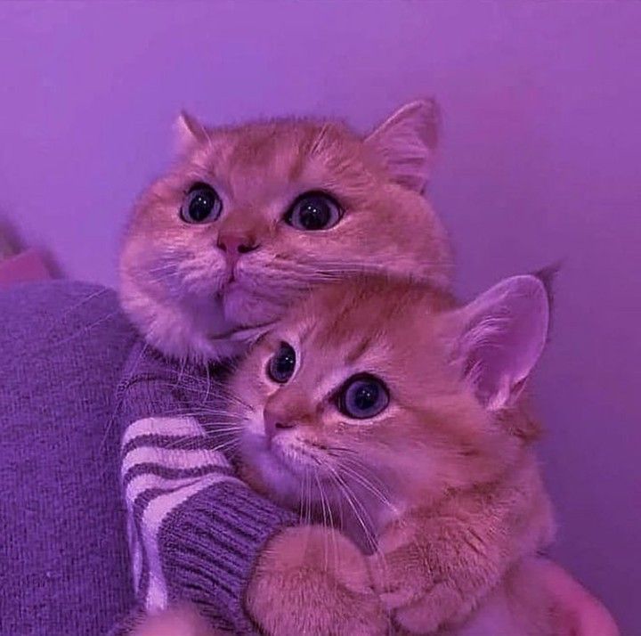 Kamindu Mendis creates history in IPL by bowling with both arms